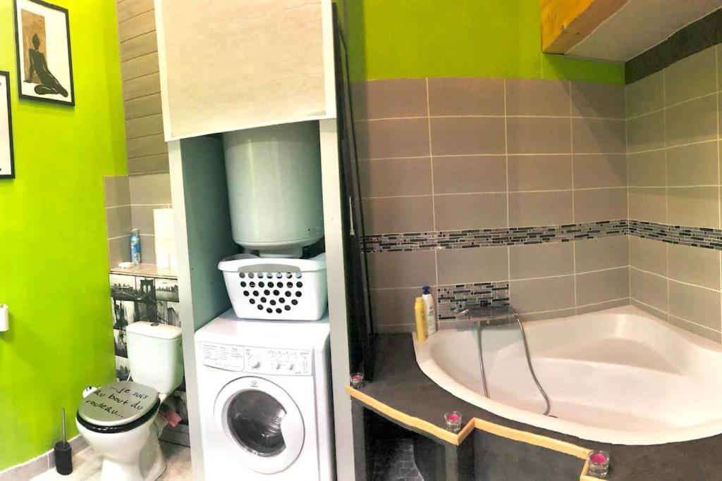 Appartamento Duplex Atypique 20' De Toulouse Leguevin Esterno foto